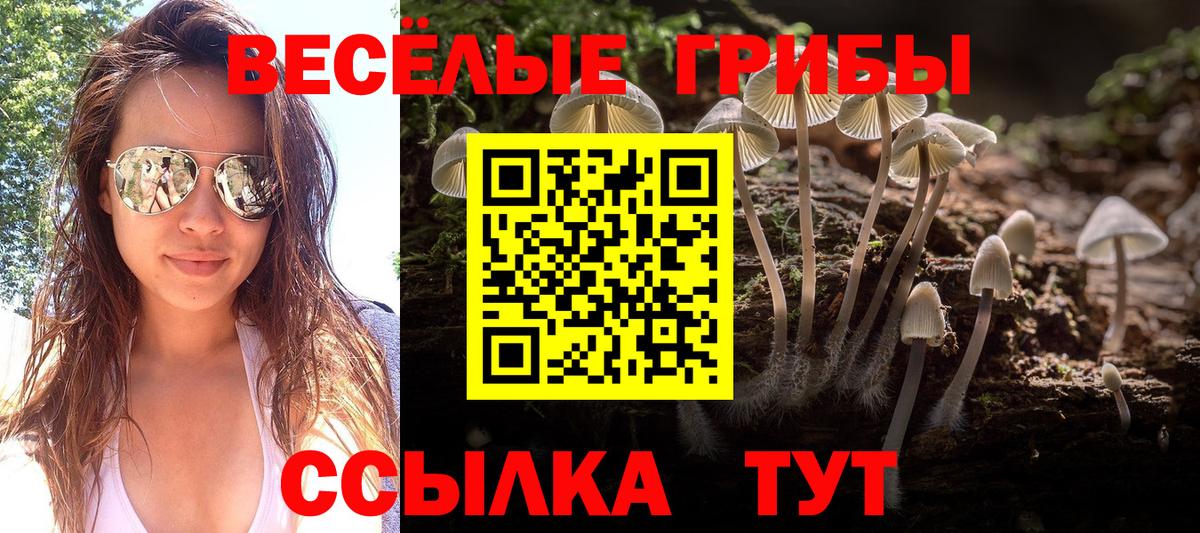 Псилоцибиновые грибы прущие грибы  Вход с VPN  Арзамас 